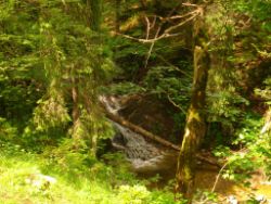 2013-07-07_Kotalm-Jochberg (075).JPG